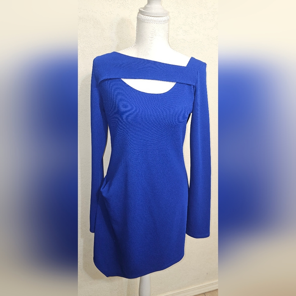Yoana Baraschi Royal Blue Long Sleeve Dress